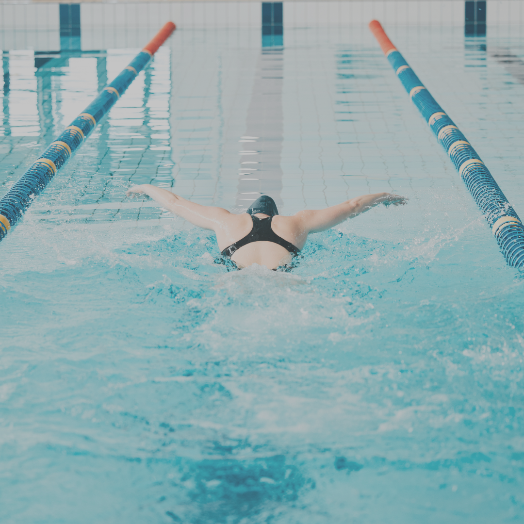 Beitrag zum Sport Wasserfreunde Beitrag zum Sport Wasserfreunde